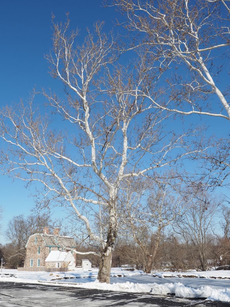 Rhinebeck