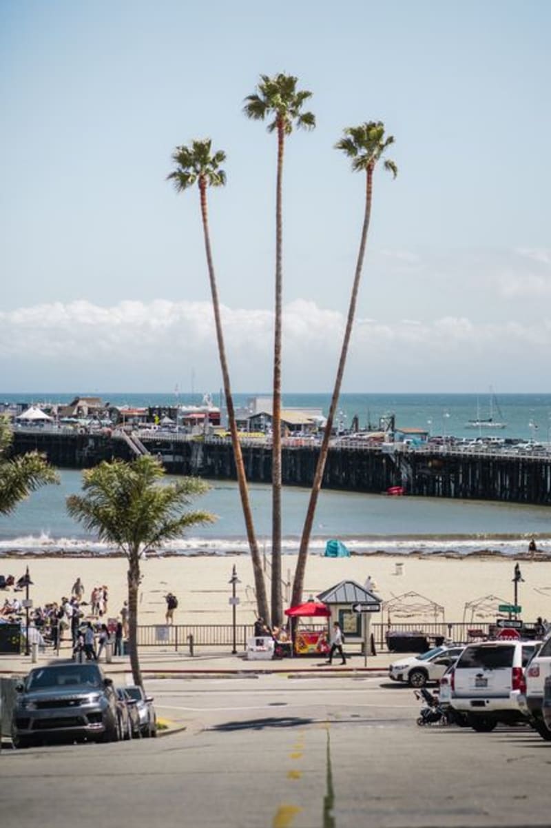 Santa Cruz