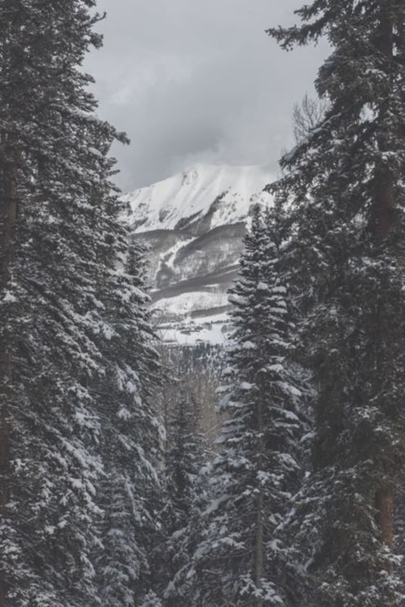 Telluride