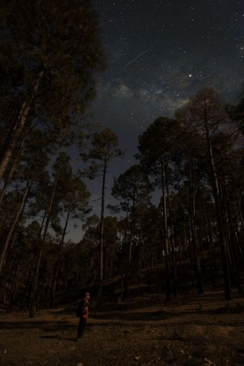 Kausani
