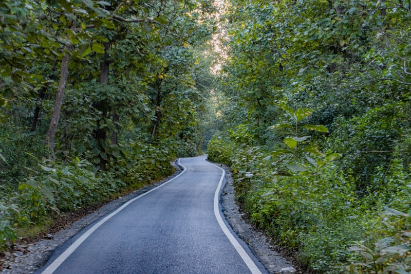 Jim Corbett National Park