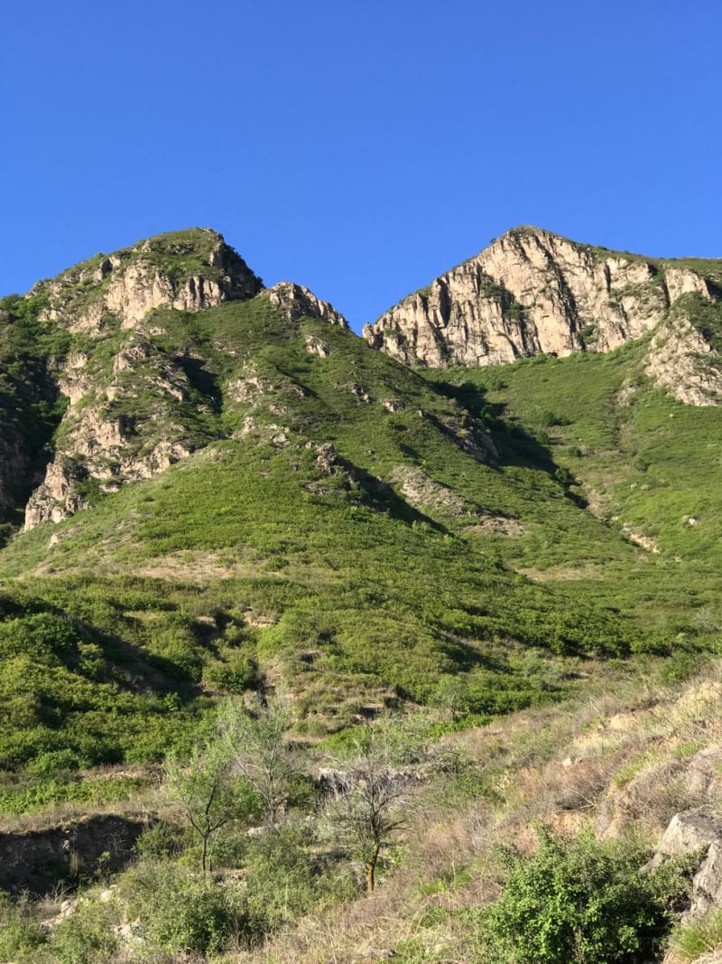 Monts Tchimgan