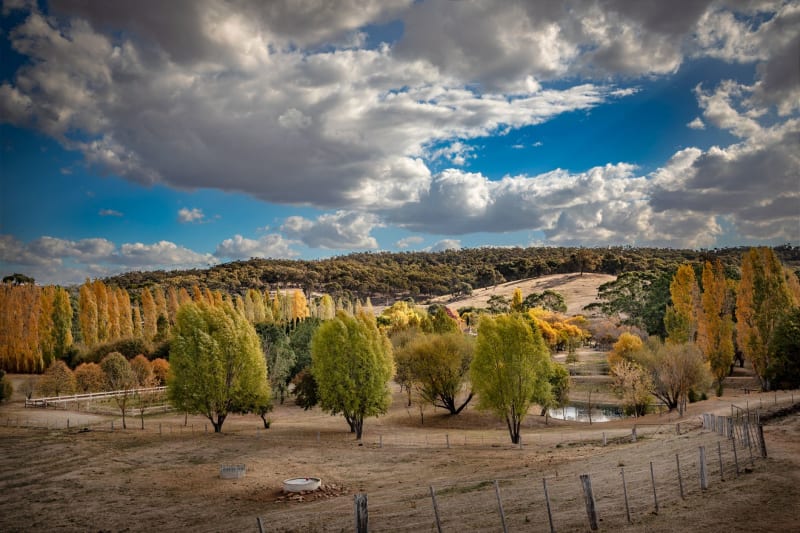 High Country