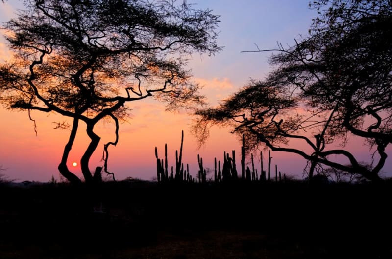 Jafuta Reserve