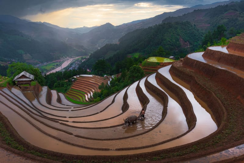 Mu Cang Chai