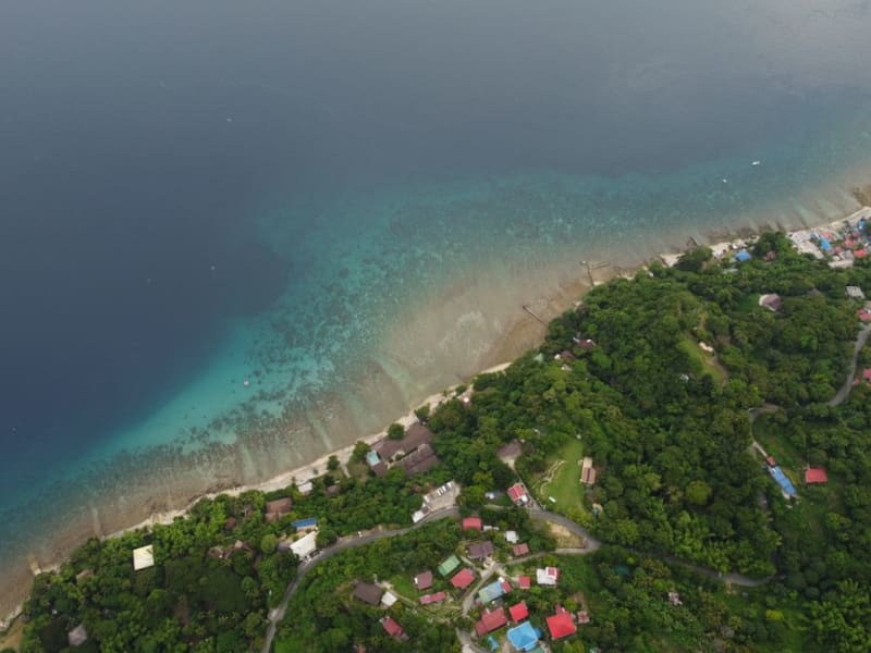 Apo Island