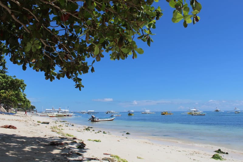 Bohol