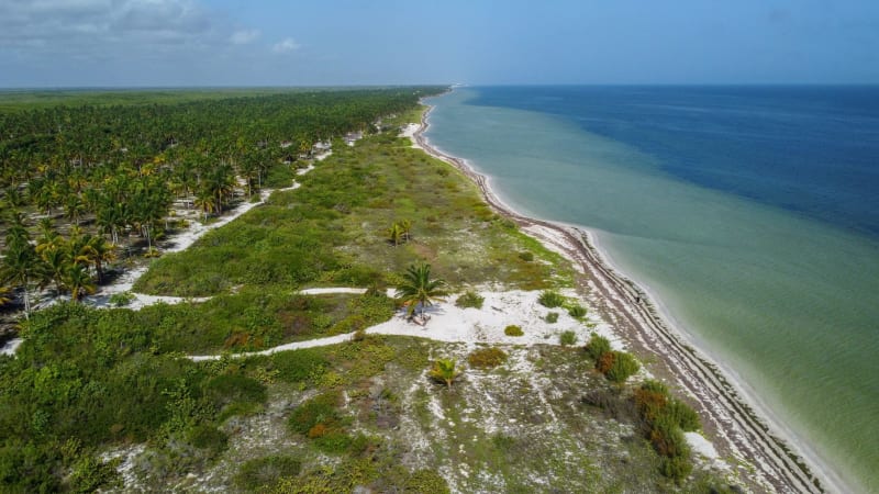 Holbox