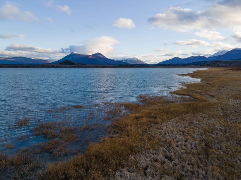 Carcross
