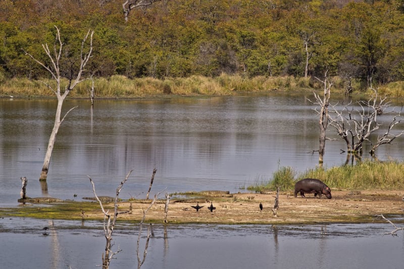 Lago Kariba