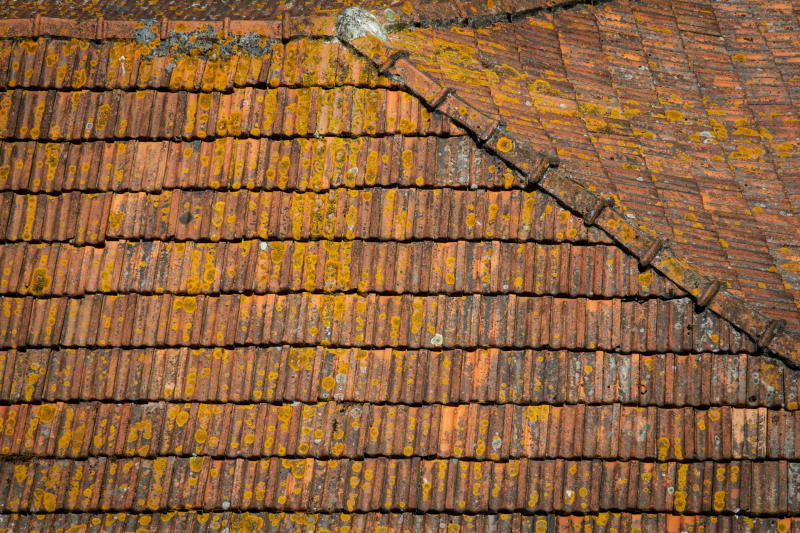 The Rum Trail — Martinique's Liquid Gold