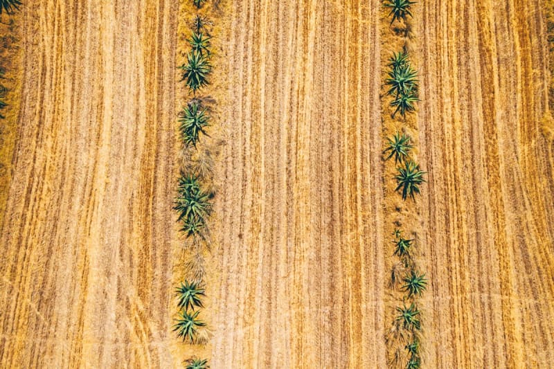 Oaxaca — The Mezcal Trail and Everything Around It