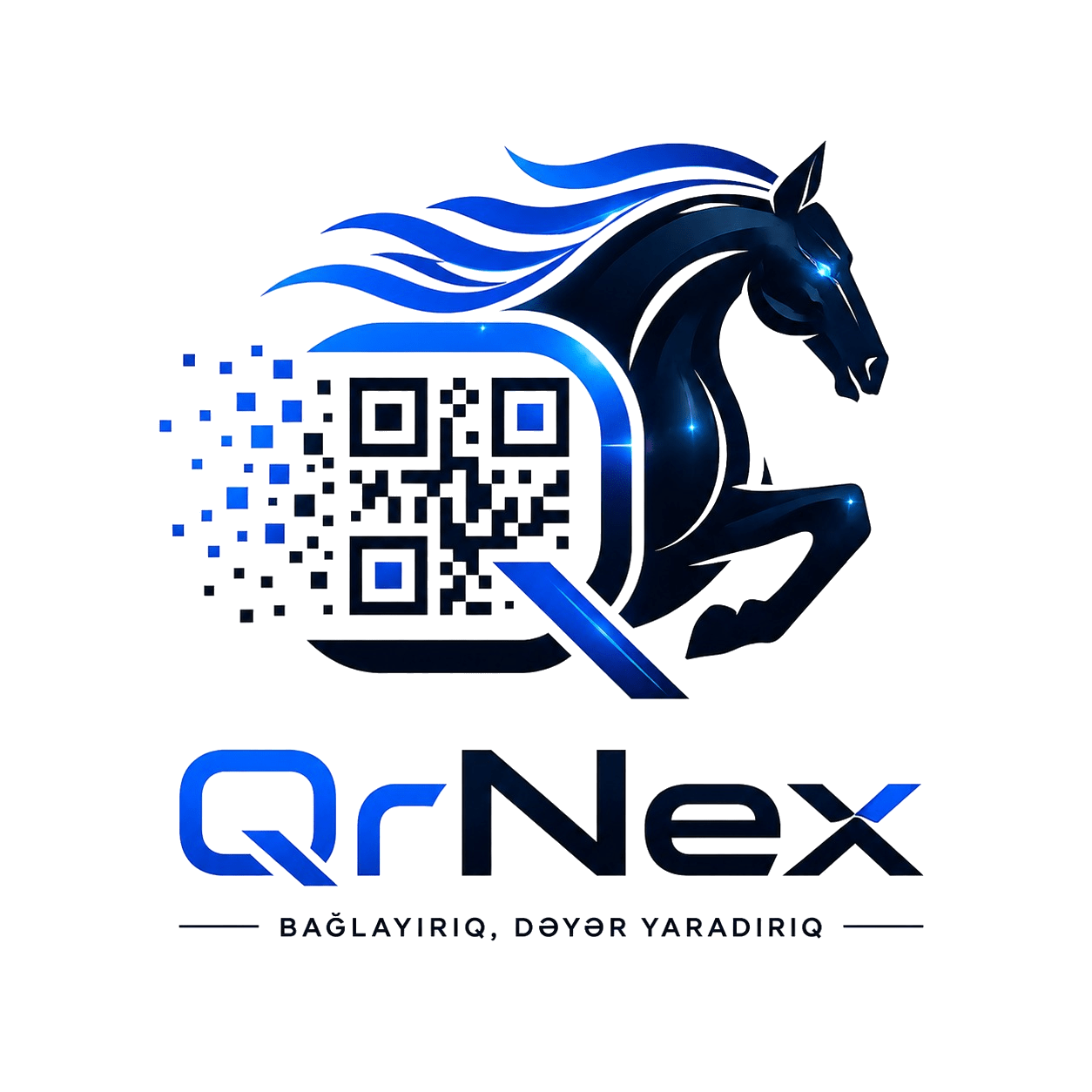 QrNex Logo