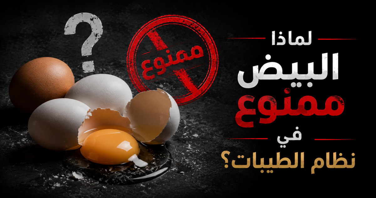 لماذا البيض ممنوع في نظام الطيبات للدكتور ضياء العوضي؟ الأسباب الكاملة