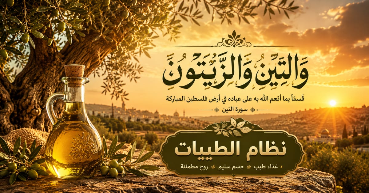 زيت الزيتون في القرآن: قسم الله بشجرة مباركة وفوائد علمية مذهلة | نظام الطيبات