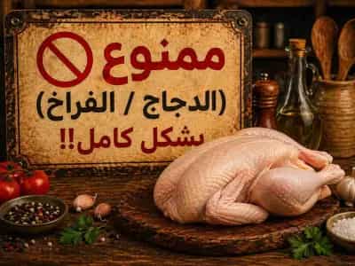 دجاج و فراخ