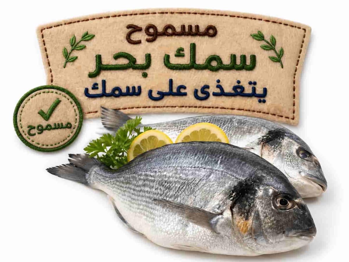 أي سمك بحر يتغذى على سمك فقط