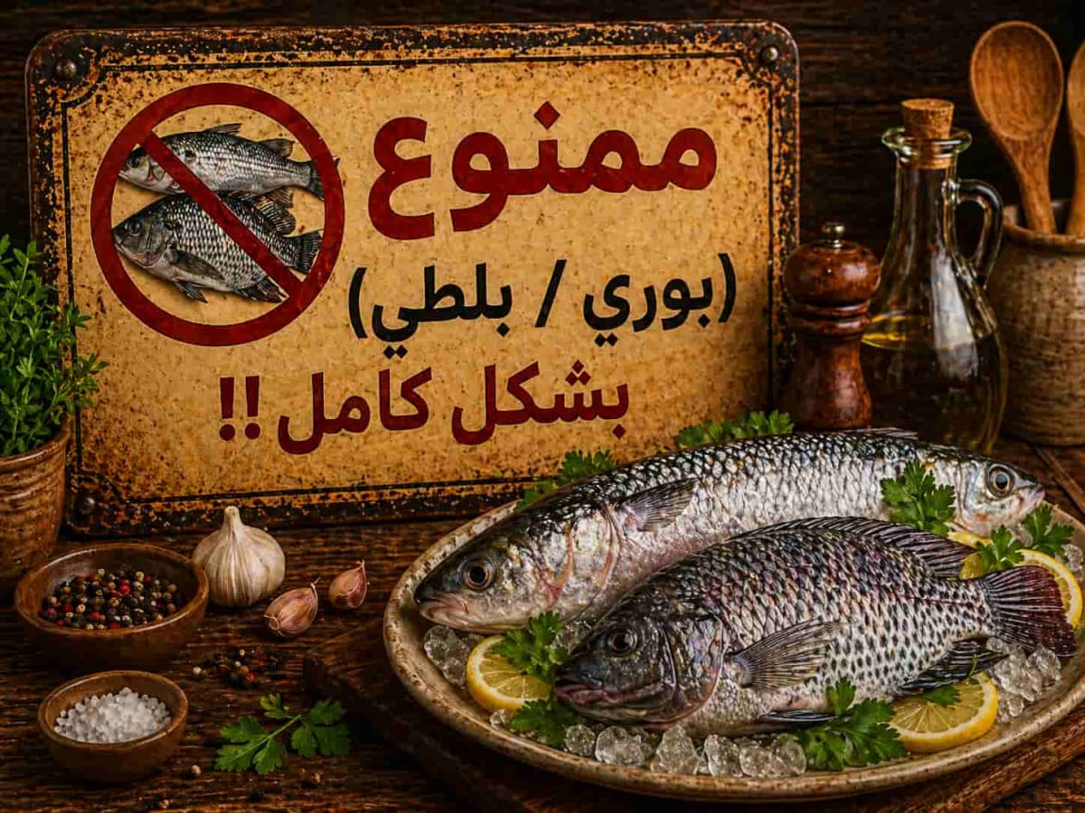 أسماك المزارع ( بلطي / بوري )