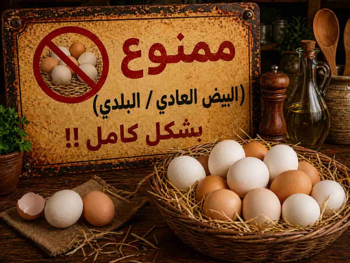 بيض (جميع الأنواع)