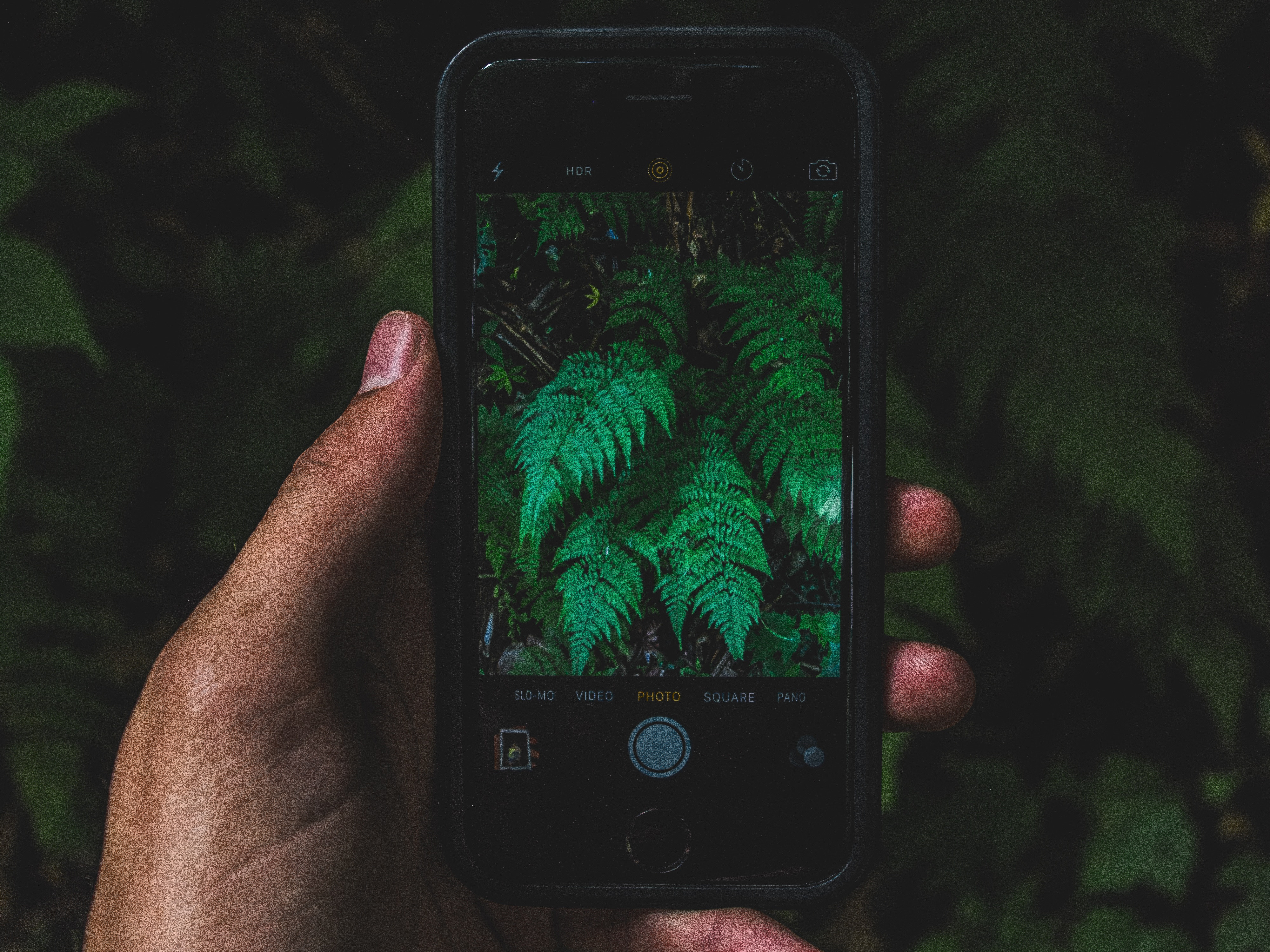 Responsive image