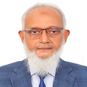 Vice President