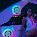 DS18 Audio 8" Digital Marine and Powersports Speakers and Towers LED Ring  UTVS0123419