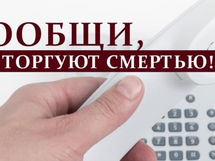 Сообщи, где торгуют смертью