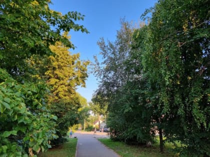 Погода в Бугульме 6 августа