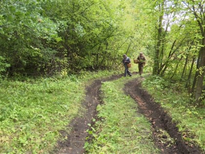 В Нурлате ограничили въезд в леса