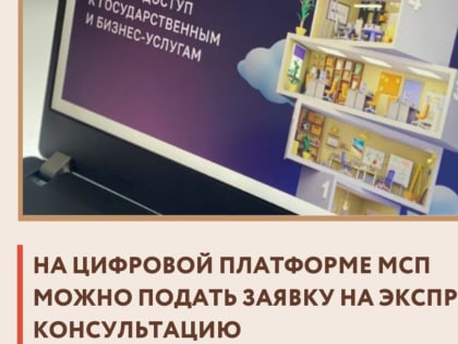 На Цифровой платформе МСП можно подать заявку на экспресс-консультацию
