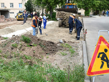 Казанцам разрешат выращивать овощи во дворе