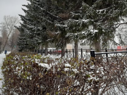 19 ноября в Бугульме ожидается сильный мокрый снег