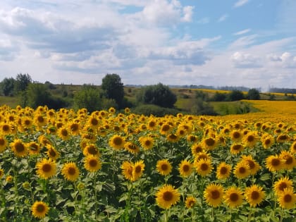 Завершается сельскохозяйственный год