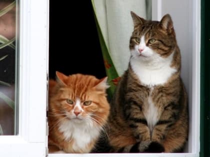 15-градусное тепло вернется в Татарстан в начале второй апрельской недели