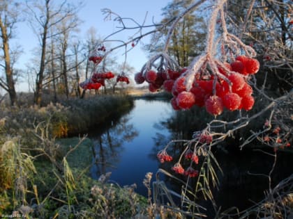 Оперативный прогноз погоды  на 26 октября