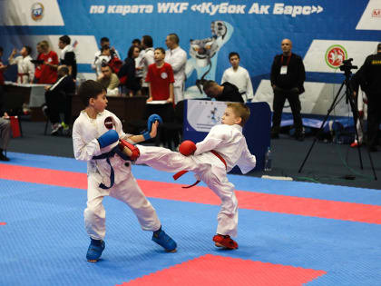 В Казани пройдут международные и всероссийские соревнования по карате «Кубок Ак Барс»