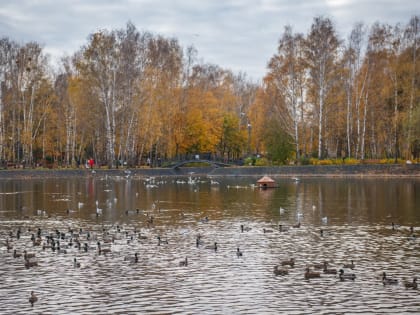 Погода в Татарстане заметно ухудшится