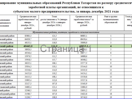 Менделеевский район занял третье место среди муниципальных районов по зарплате