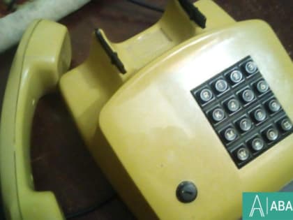 10 июня будет работать «горячая линия» по вопросам организации летнего отдыха и оздоровления детей