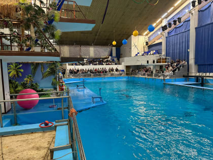 Военнослужащие и их семьи посетили челнинский дельфинарий