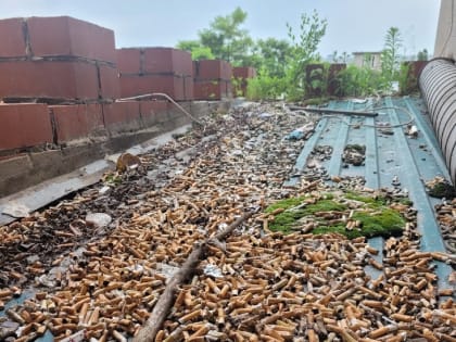 Надежды на жизнь в Челнах сгорели от окурка: погорелица с детьми просит помощи