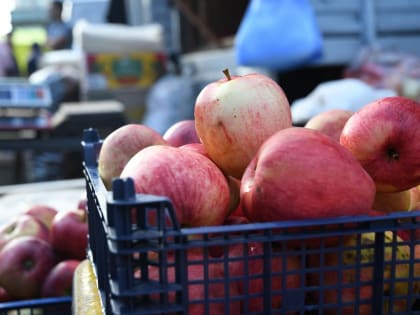 24 сентября в Казани пройдут традиционные сельскохозяйственные ярмарки