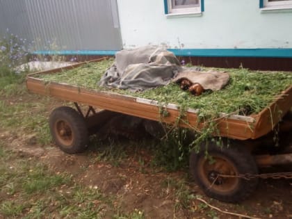 В Саввин день, 29 марта, в старину день посвящали телеге