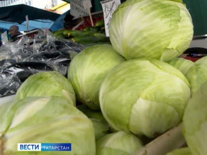 В Минсельхозпроде РТ объяснили причину роста цен на капусту