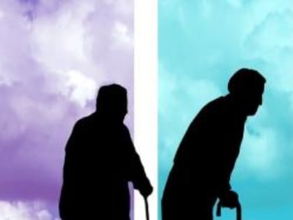 Что нового в январе 2023