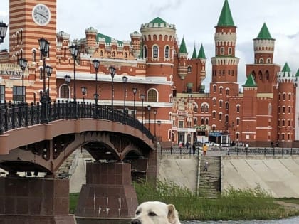 Алабай Рустама Минниханова принял участие в выставке в Йошкар-Оле