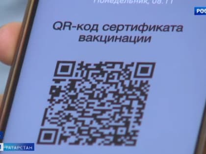 В Челнах пояснили, как будут проверять QR-коды в общественном транспорте