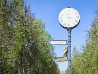 Власти ответили на критику состояния парка Горького