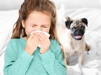 Аллергия на питомцев