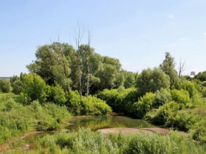 Татарстану потребуется около 700 млн рублей на оздоровление Ноксы